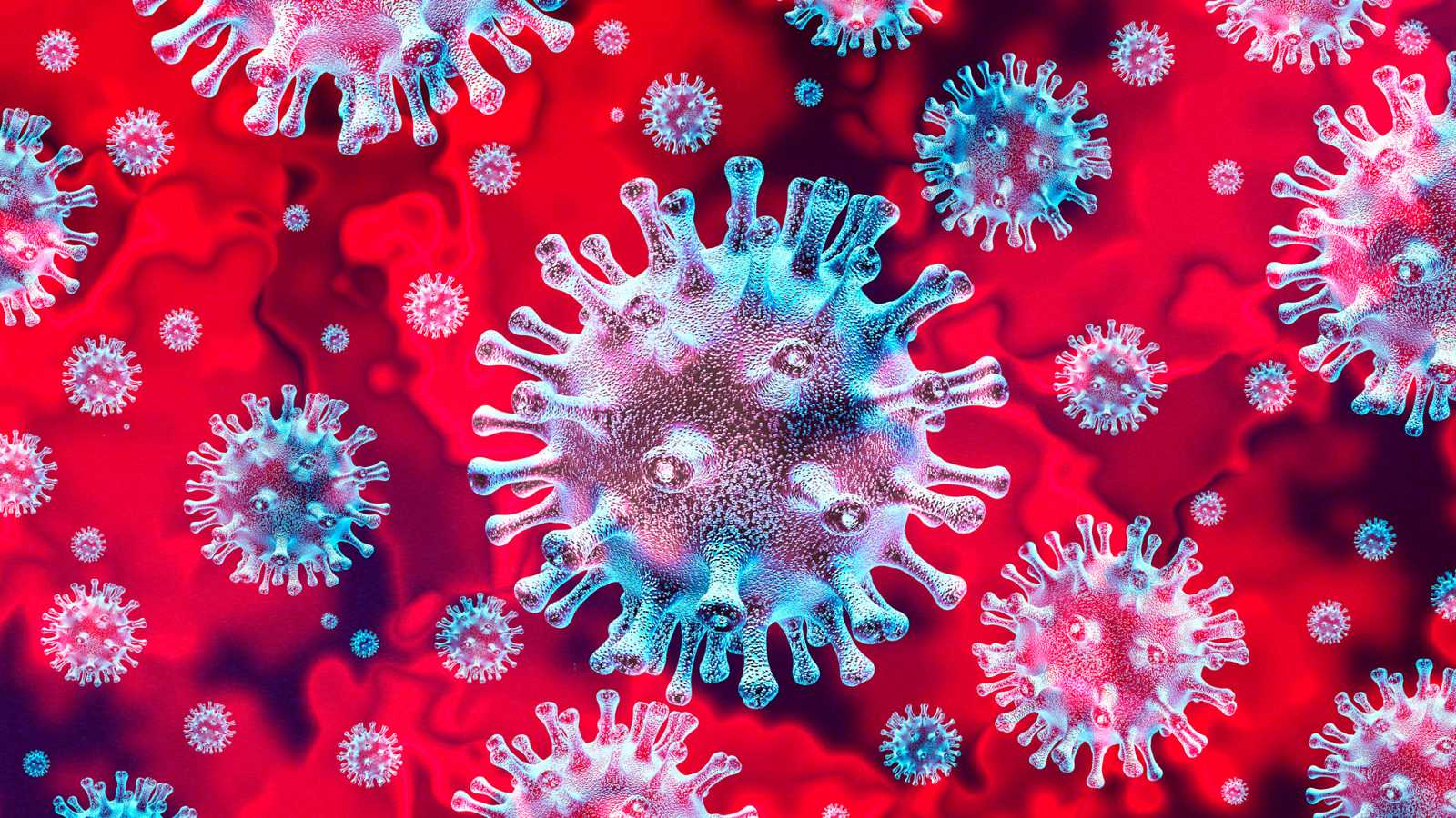 Efectos del Coronavirus en la Formación de Náutica